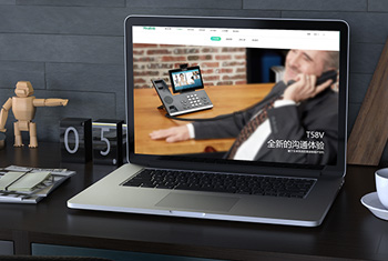 ��ɫ����